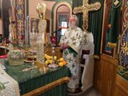 Ο Εορτασμός της ιεράς μνήμης του Αγίου Τρύφωνος στην κατάφυτη περιοχή των Χρούσσων της Σύρου