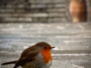 “Μόνο μὲ τὴν ἀρχοντιὰ ἔχει ὁ ἄνθρωπος τὸ κουμπὶ γυρισμένο στὴν ἴδια συχνότητα μὲ τὸν Θεὸ”