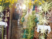 Κυριακὴ τῶν Βαΐων στήν Ἱερά Μητρόπολη Σάμου