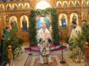 Κυριακή τῶν Βαΐων στό Ἀντίρριο Ναυπακτίας