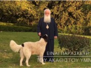 Μητροπολίτης Δημητριάδος : “Η Παναγία μας έδωσε κουράγιο και δύναμη όλη αυτή την περίοδο”