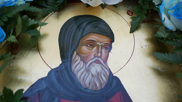 Όσιος Θωμάς ο εν Μαλεώ