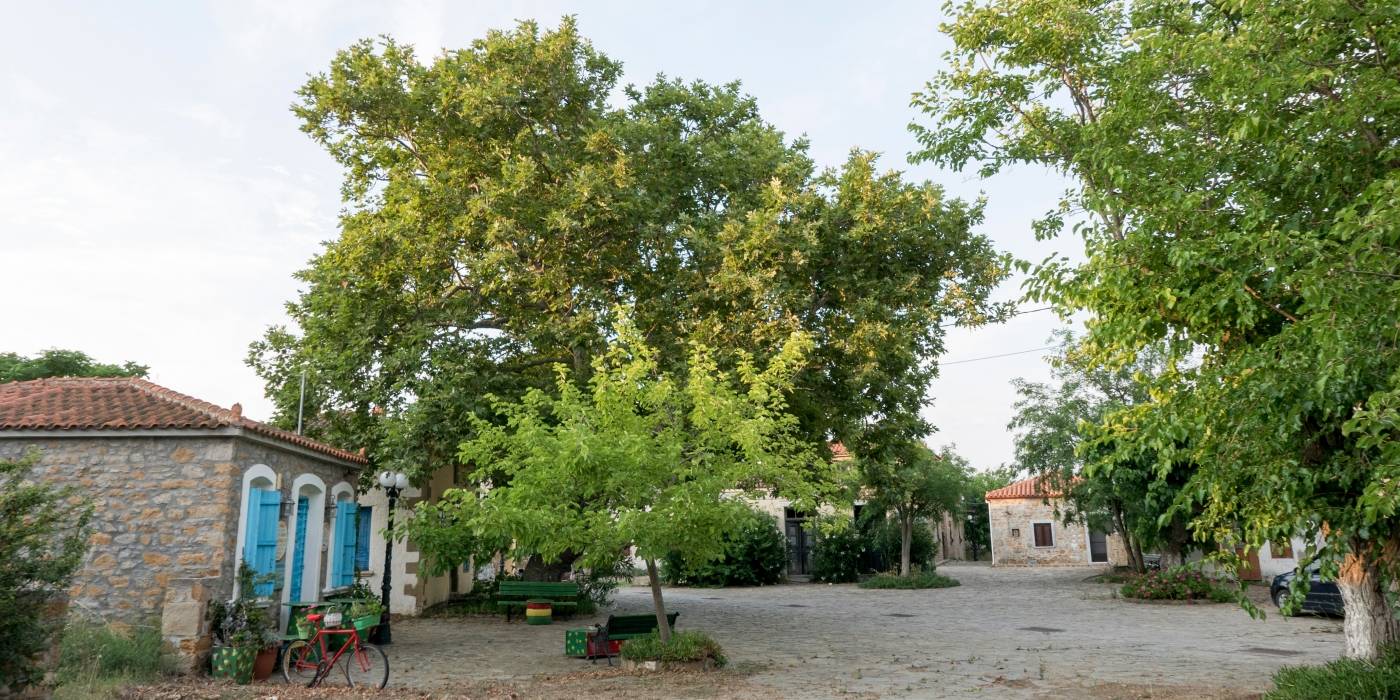 Πανήγυρις Ι.Ν. Αγ. Ιωάννη Προδρόμου Παλαιού  Πεδινού Λήμνου