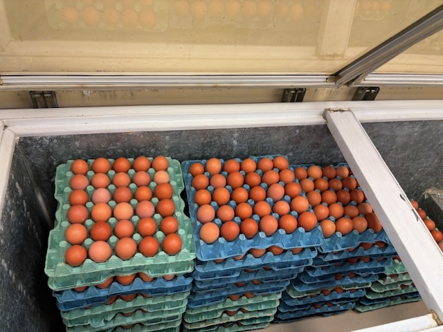 ΚΕΣΟ: “αθόρυβη” αλλά ουσιαστική η πρώτη διανομή του 2026 στο “Κ.Π”